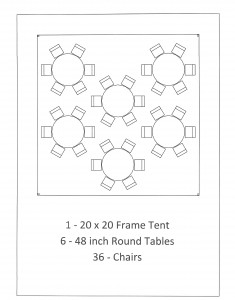 20x20 frame tent 48 inch table seating backyard bbq dearborn mi